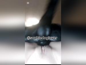 Forbidden delights: Hardcore animal sex on video