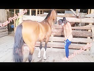 Woman and horse: a bestial encounter