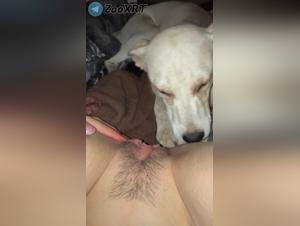 Zoophilia: Canine and female fury