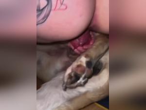 Wild Rampages: el apetito animal en accion