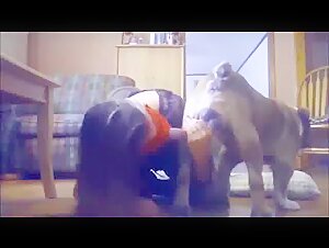 Woman subjected to a dog in a bestial video