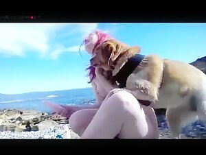 Dog insisting on an intimate encounter (no intercourse or licking)