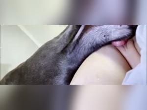 Explore Zoophilia at the Art Zoo: Doggy Delights Await