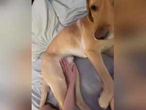 Milly's Bestial Desires: Explore the Dark Side