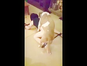 Frau unterwurfig und von einem Hund beschmutzt