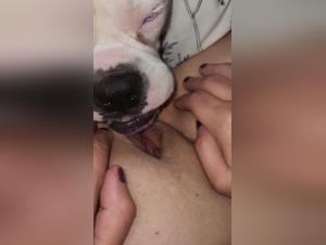 Doggy Cravings: Ass and Pussy on the Menu