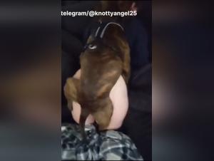 The art of zoophilia: a unique experience with a dog
