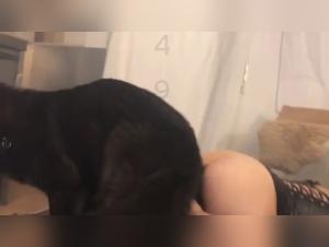 Lady Wolf: Wilde Obsession