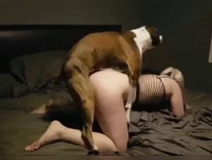 Animal Obsession: Extreme Zoophilia Filmed