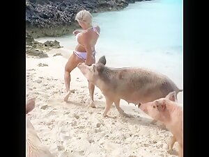 Woman and Dog: A Forbidden Meeting