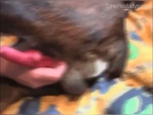 Animalistic Frenzy: Black-eyed Blonde Gets Devoured