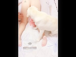 Woman and dog: a forbidden encounter