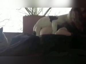 Unleash your darkest desires: Brutal & Incestuous Bestiality