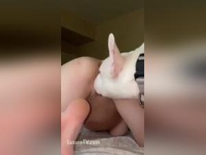 Extreme Zoophilie Video -  Dépassez les Limites