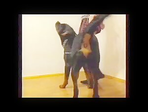 Extreme Dog Sex Videos