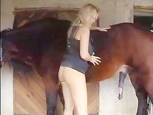 My Horse