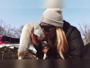 Hund BJ: Die verbotenen Freuden enthullt