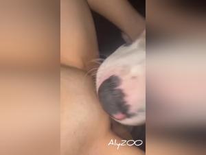 animal orgies, feline slavery