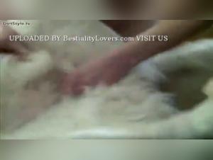 Decadenze bestiali: l'abisso del desiderio animale