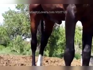 Follies Nuptiales : Où le Désir Démoniaque Prévaut