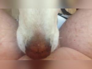 Delices Bestiaux: Hardcore and Intense Session