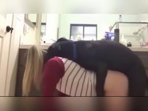 Crazy Dog: Wild Sodomy in 'Who Let the Dogs Out' (PMV)