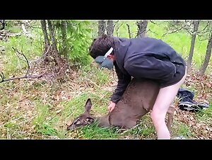 Zoophiles: Male sex animal