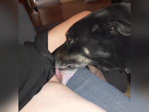 Sexe Animal Extreme: Femmes & Chiens