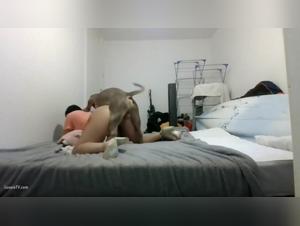 Canine Domination: A Slut with a Dog's Ass