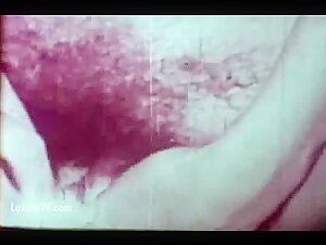 Femme et Chien - Vidéo de Sexe Bestialité Vintage
