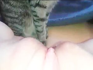 Katzensprache