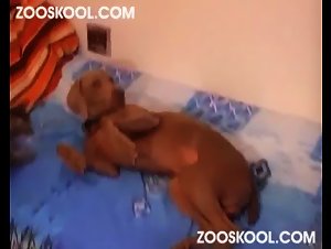 Anna - Maîtresse Masquée - Zooskool : Une Milf en Pleine Action Bestiale