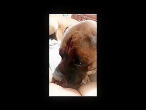 Perra adolescente es lamida por un perro (recopilacion corta)