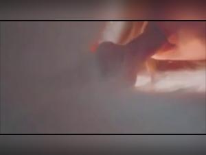 Teen Sexe Animal :  L'Obsession Démoniaque