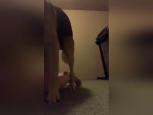 Well-trained bitch: enjoying her mistress and frozen cock