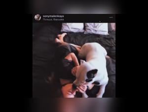SONYA's Animal Instinct: Desires Unleashed