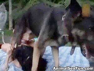 Zoo Dog: A Story of Exciting Bestiality