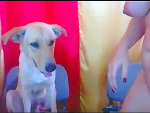 Intimate Moment with a Dog