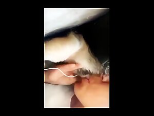 Puta es follada por un perro en el jardin