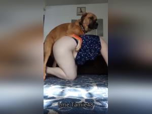 Animal enthusiasm: wild and extreme kiss