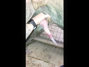 Woman submissive to her dog