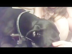 Cerchi altri video di questa donna con un cane?