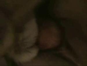 Obscene Delights: Open Relationship and Dog