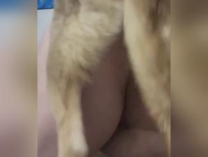 Canine Debauchery: A woman strives to dominate her dog