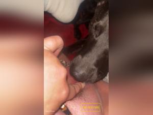 Slut and her dog: Feline debauchery