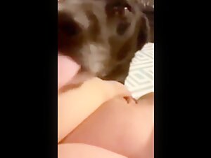 First time with a dog