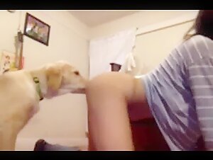 Excited dog licking a young woman