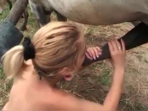 A Horse's Massive Shaft and Its Dedicated Devotee