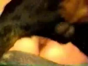 Animal Debauchery: The Dog Amateur's Obsession 17