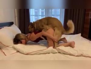Potere russa scopante, piacere cinofilo garantito
